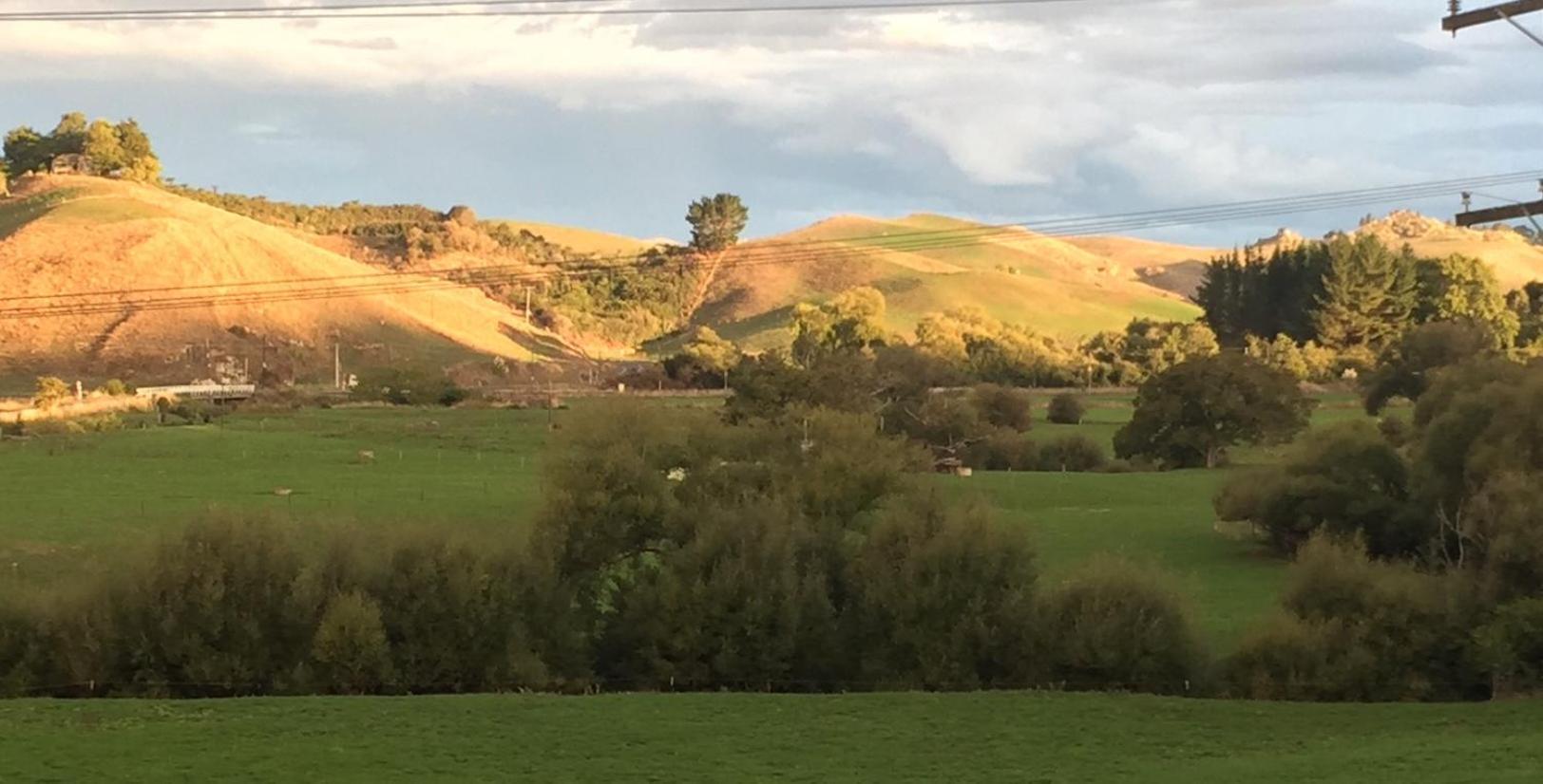 Caves Motor Inn Te Kuiti Buitenkant foto